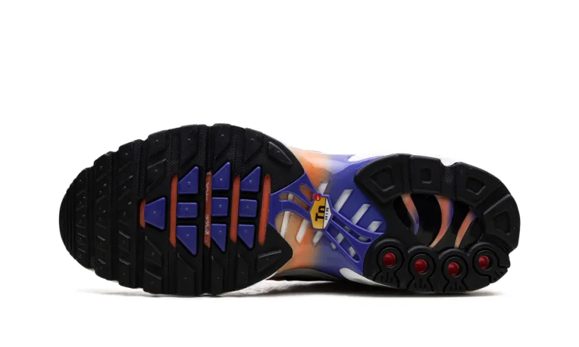 Nike Air Max Air Max Plus WMNS 'Persian Violet Wild Mango'